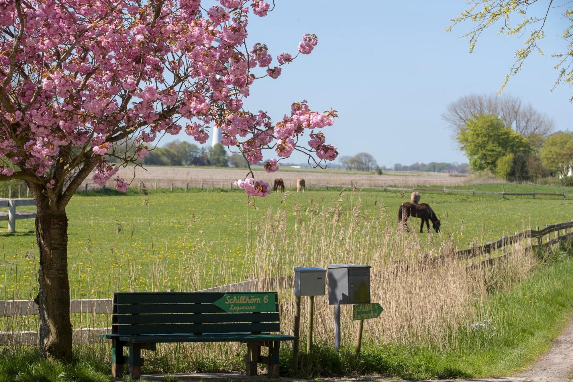 Fischerhaeuschen Am Kurpark Neuharlingersiel Luaran gambar